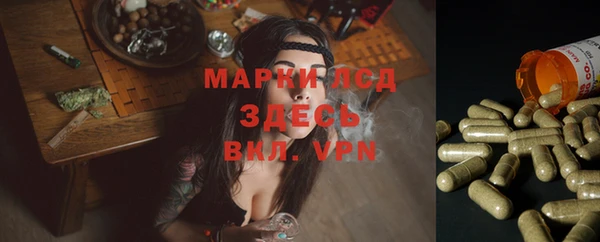 СК Алексеевка
