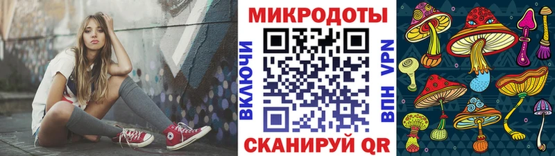 OMG tor  Курлово  Псилоцибиновые грибы мицелий 